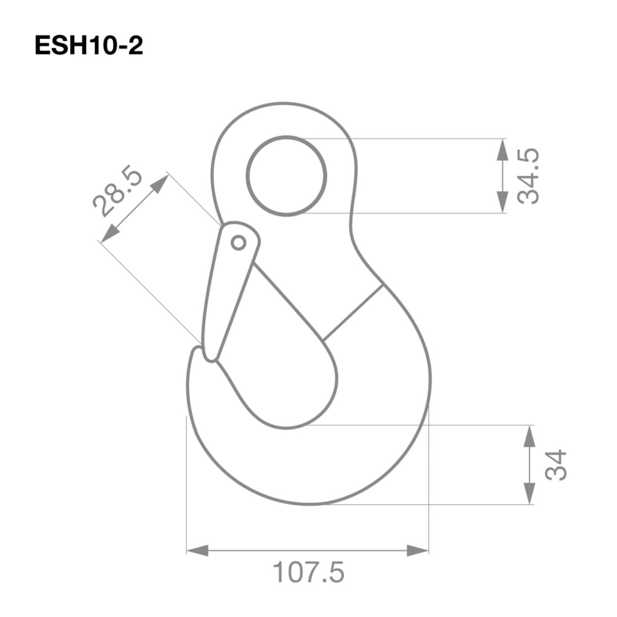 TAG | Eye Sling Hook G80 10mm 3.15T | Safety Chain Hook Pair | ESH10-2