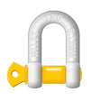 TAG | 13mm D-Shackle 2000kg Drop Forged Carbon Steel | DSG013